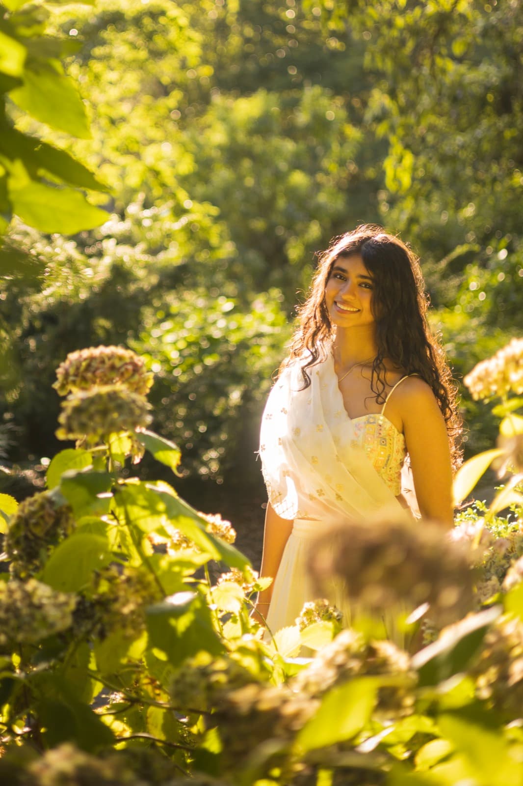 Senior portrait session among garden hydrangeas