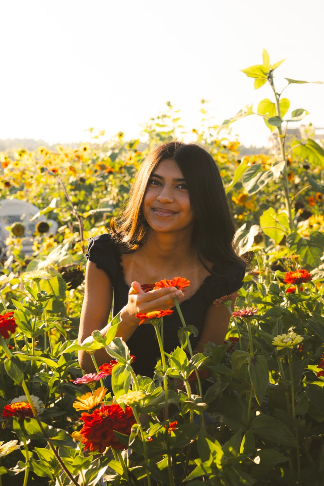 Senior portrait session holding a zinnia at sunset