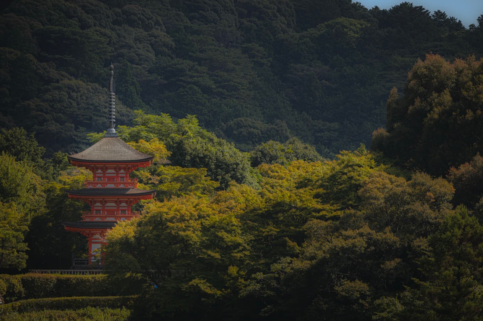 Pagoda in Kyoto, Japan